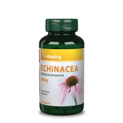 Vitaking Echinacea-Bíbor kasvirág 