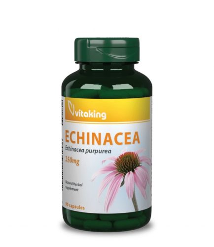 Echinacea (Bíbor kasvirág) kivonat 90db