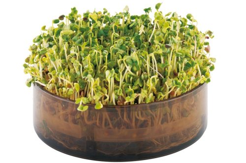 Rapunzel bioSnacky Csíráztató tál (fedél, szűrő, vízfelfogó) környezetbarát