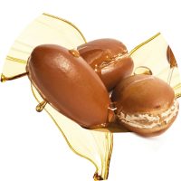 Marokkói argánolaj