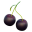 Fekete meggy