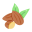 Mandula